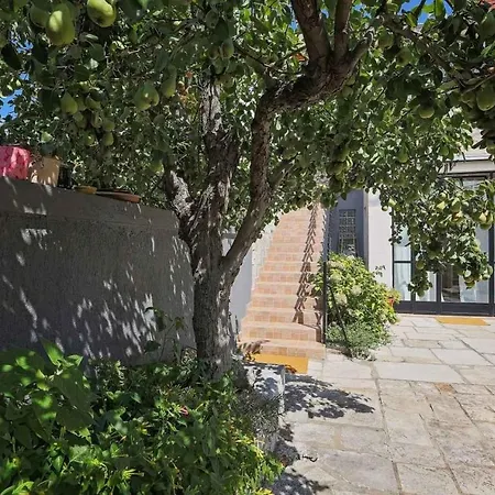 Tiziana Apartment